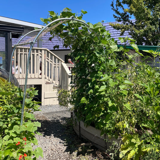 DIY Garden Arch from Bootstrap Farmer at GrowTime Garden Supply