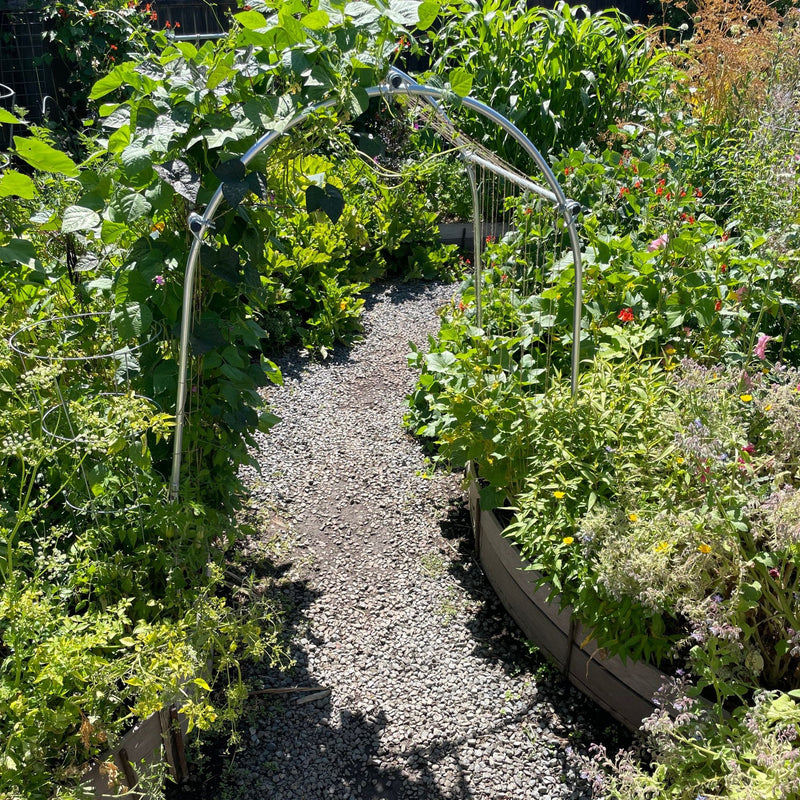 Load image into Gallery viewer, DIY Garden Arch
