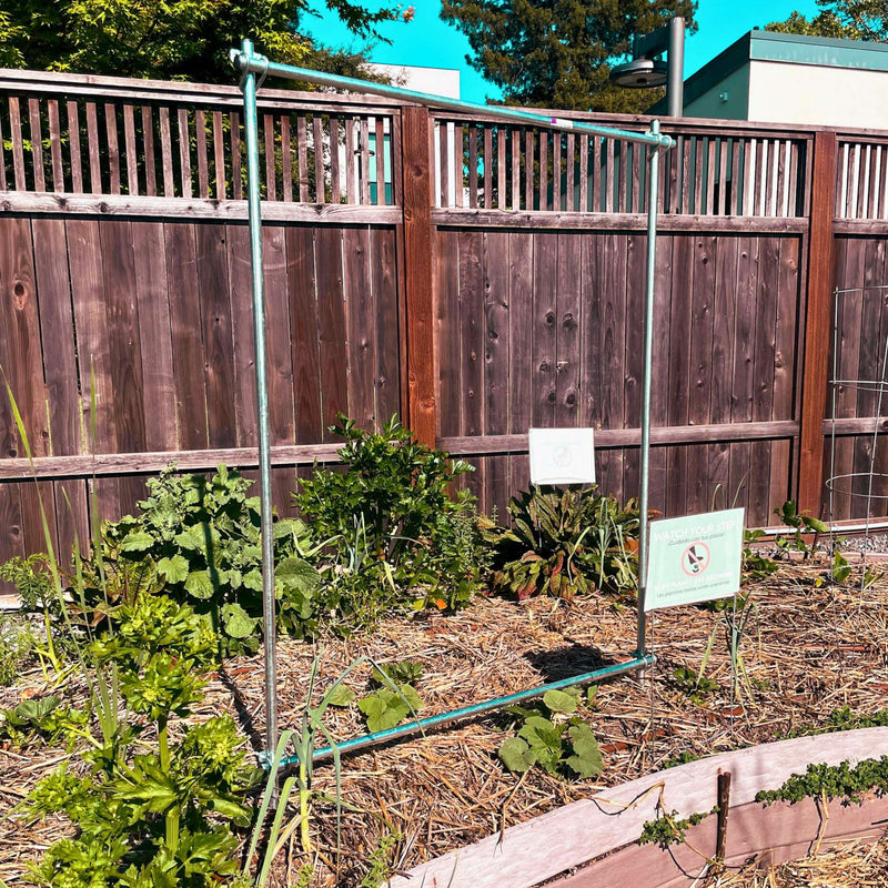 Load image into Gallery viewer, DIY Vine Trellis from Bootstrap Farmer at GrowTime Garden Supply
