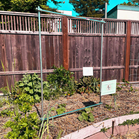 DIY Vine Trellis from Bootstrap Farmer at GrowTime Garden Supply