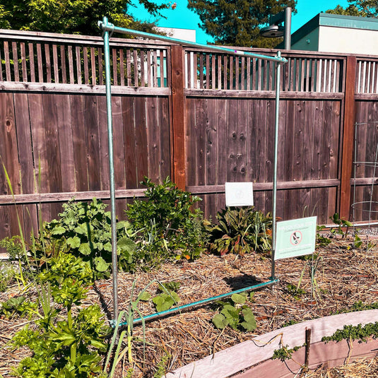 DIY Vine Trellis from Bootstrap Farmer at GrowTime Garden Supply