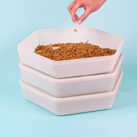 The Mealworm Growing Pods, additional product view 2