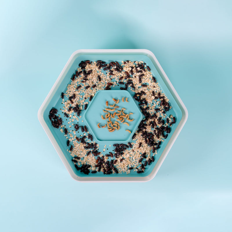 Load image into Gallery viewer, The Mealworm Growing Pods
