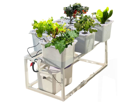 Tobato 5 Dutch bucket hydroponic growing system