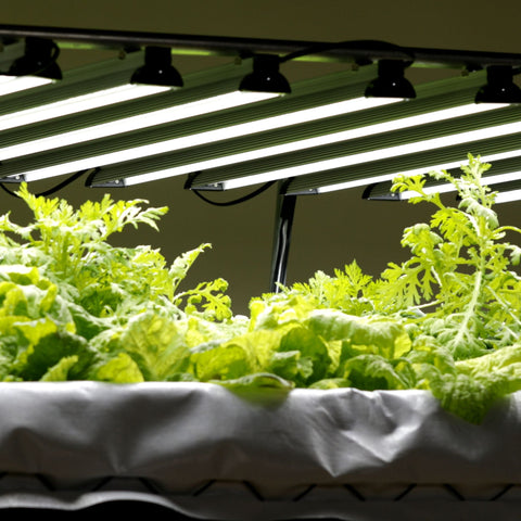 Dual-Spectrum LED Grow Light | 80 W, additional product view 2