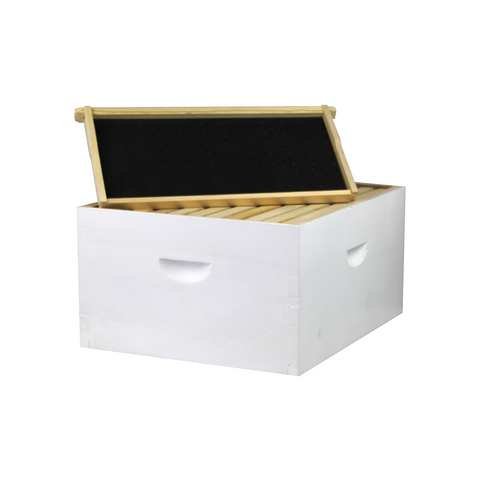 10-frame deep brood box, painted and assembled, front