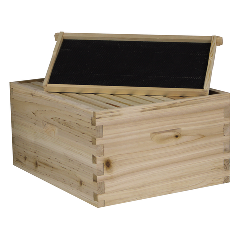 10-frame beehive starter kit, 1 deep box, front