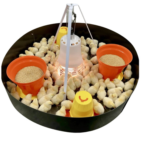 SureGrow 100 infrared electric chick brooder