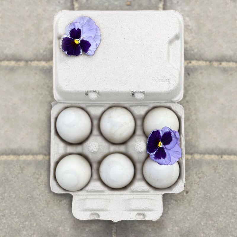 Load image into Gallery viewer, Henlay Duck Egg Cartons - Holds Half Dozen Jumbo Eggs- Blank Flat Top, 2 colors, 20 or 100
