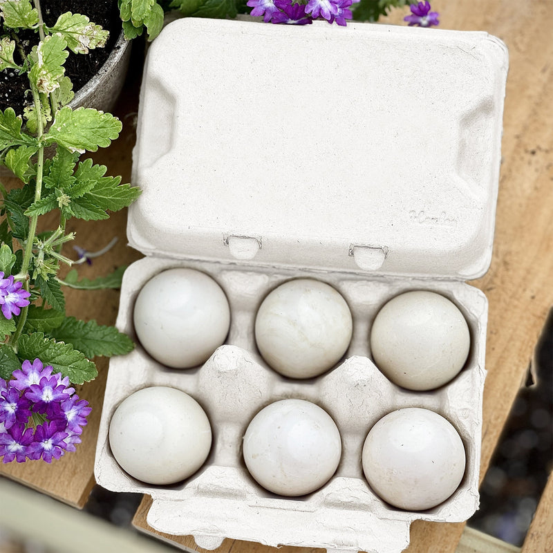 Load image into Gallery viewer, Henlay Duck Egg Cartons - Holds Half Dozen Jumbo Eggs- Blank Flat Top, 2 colors, 20 or 100
