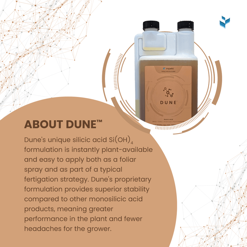Load image into Gallery viewer, Dune™  Stabilized Monosilicic acid
