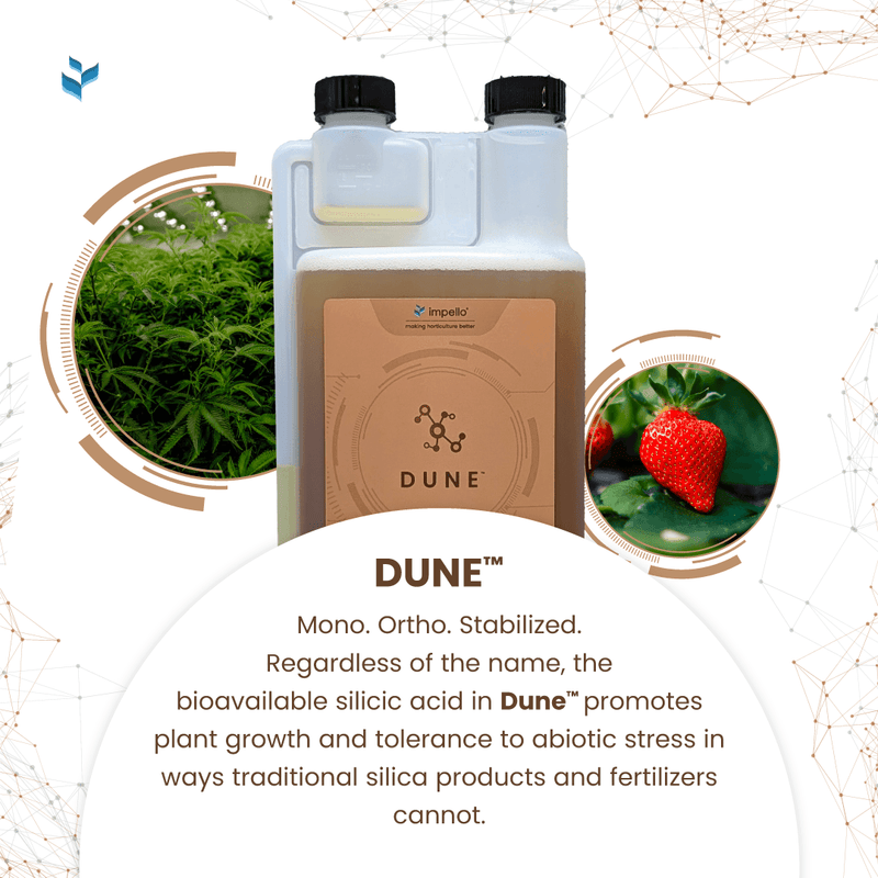 Load image into Gallery viewer, Dune™  Stabilized Monosilicic acid
