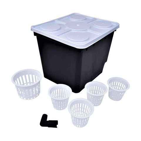 Dutch Bucket from Bootstrap Farmer at GrowTime Garden Supply