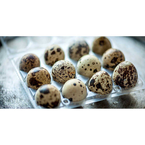 Fresh quail eggs for cooking or pets, carton front