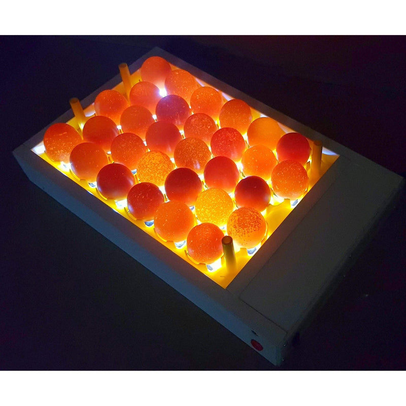 Load image into Gallery viewer, Egg Fertility Tester (Egg Candler) for 30 Chicken Eggs - SureView
