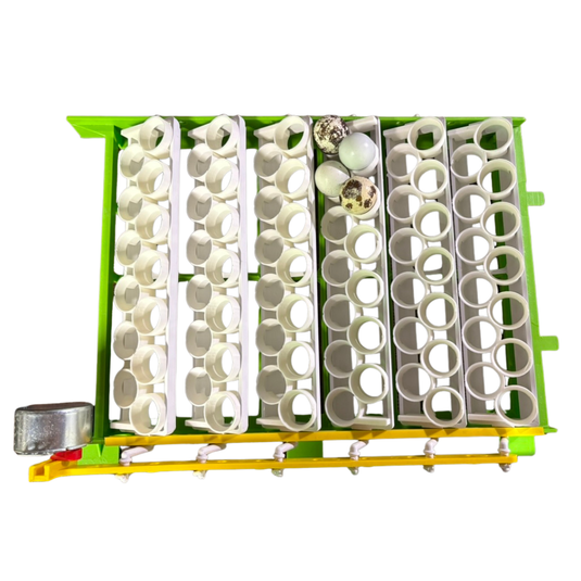 CT180 Jumbo Quail Egg Rails, 36-Pack shown in product view 4
