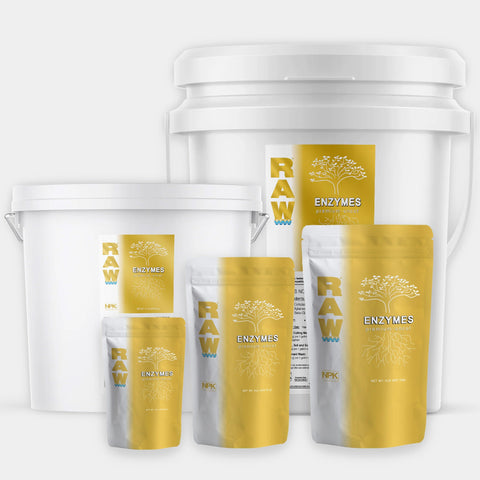 RAW Enzymes water soluble supplement package
