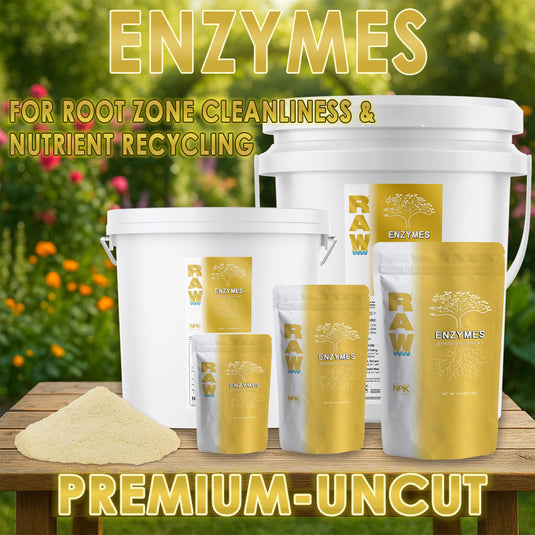 RAW Enzymes | Cellulase, Xylanase & Beta-Glucanase | Water-Soluble Supplement