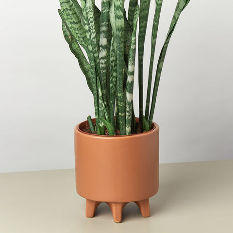 Stone Footed Planter 6.5 Inch