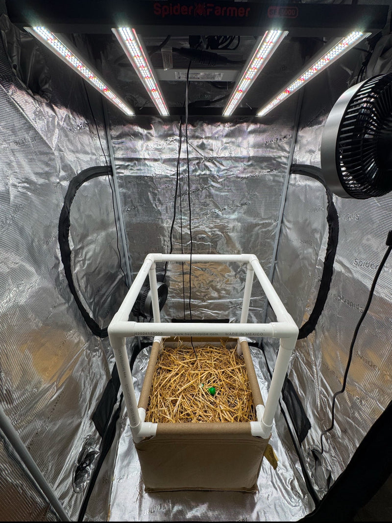 Load image into Gallery viewer, Hobby Grow Living Soil Raised Bed
