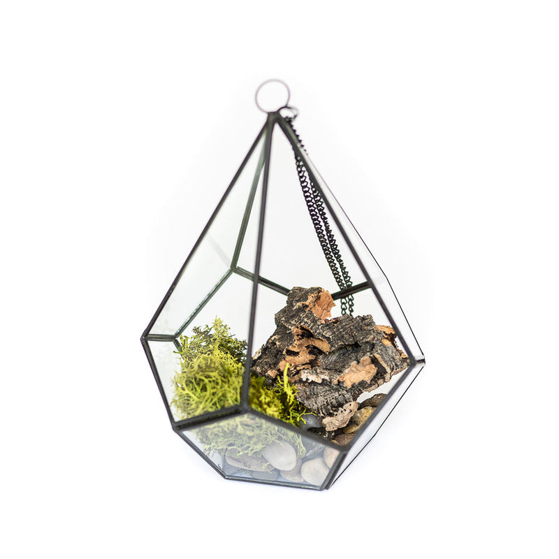 Load image into Gallery viewer, Glass Diamond Terrarium
