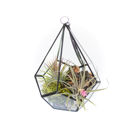 DIY glass diamond terrarium