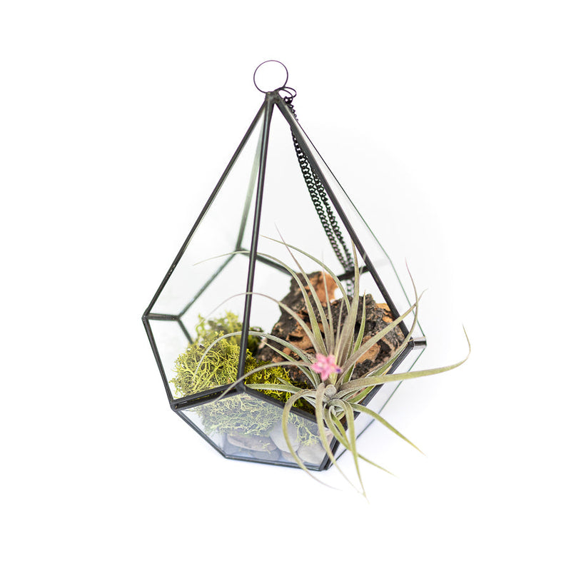 Load image into Gallery viewer, Glass Diamond Terrarium
