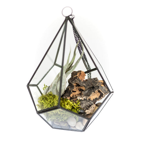 DIY Glass Diamond Terrarium, additional product view 2