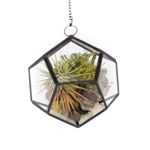 DIY Glass Pentagon Terrarium, additional product view 2