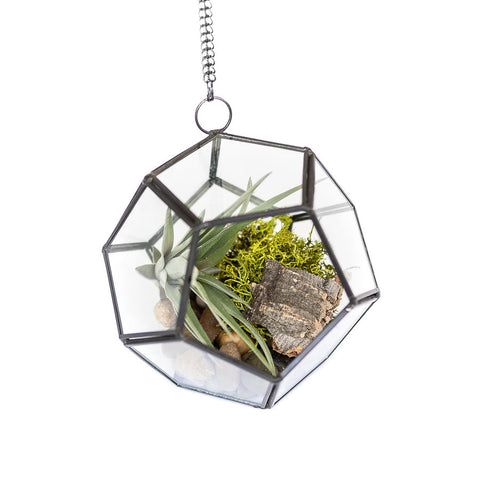 DIY glass pentagon terrarium