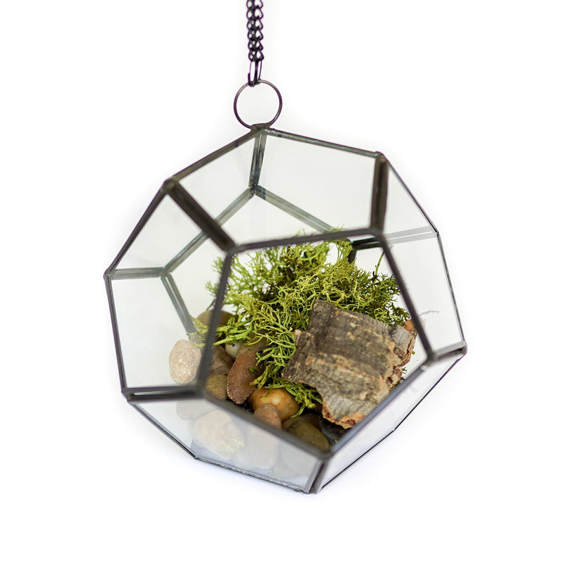 Load image into Gallery viewer, Glass Pentagon Terrarium
