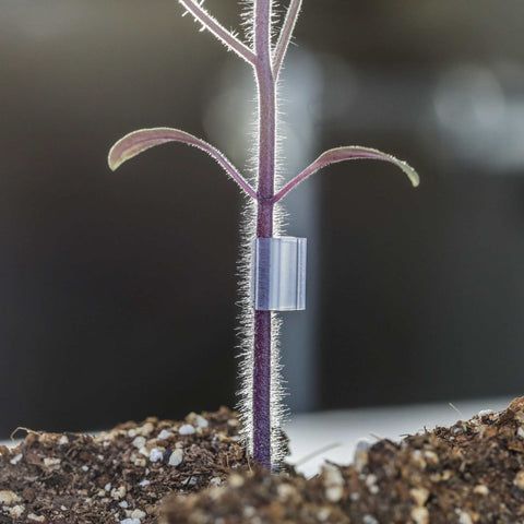 Grafting Clips with Channel from Bootstrap Farmer at GrowTime Garden Supply
