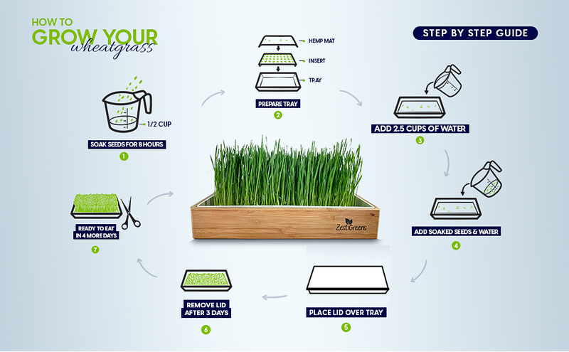 Load image into Gallery viewer, Organic Wheatgrass Growing Kit, Self Watering
