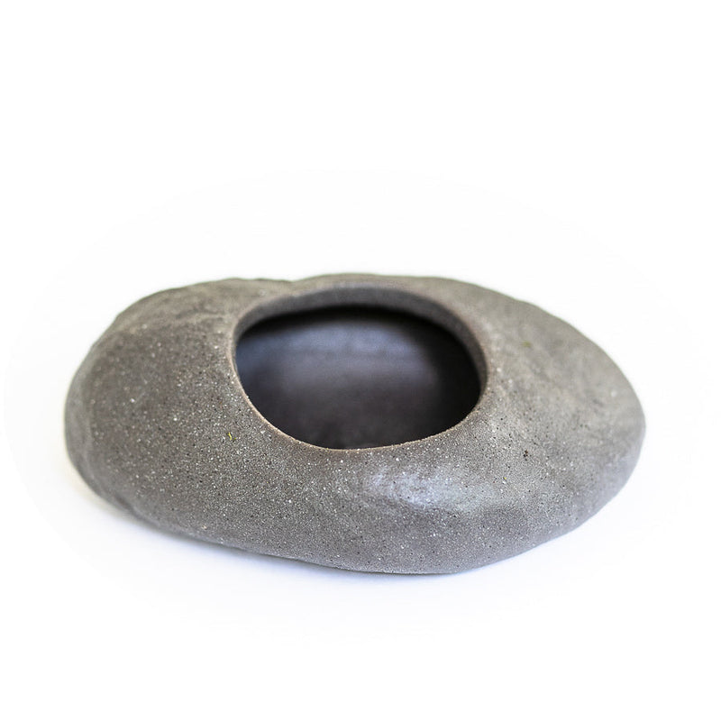 Load image into Gallery viewer, Gray Ceramic Stone with Assorted Tillandsia Air Plant
