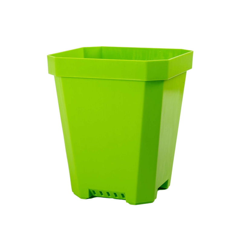 Load image into Gallery viewer, 5" Nursery Pots with Insert Tray
