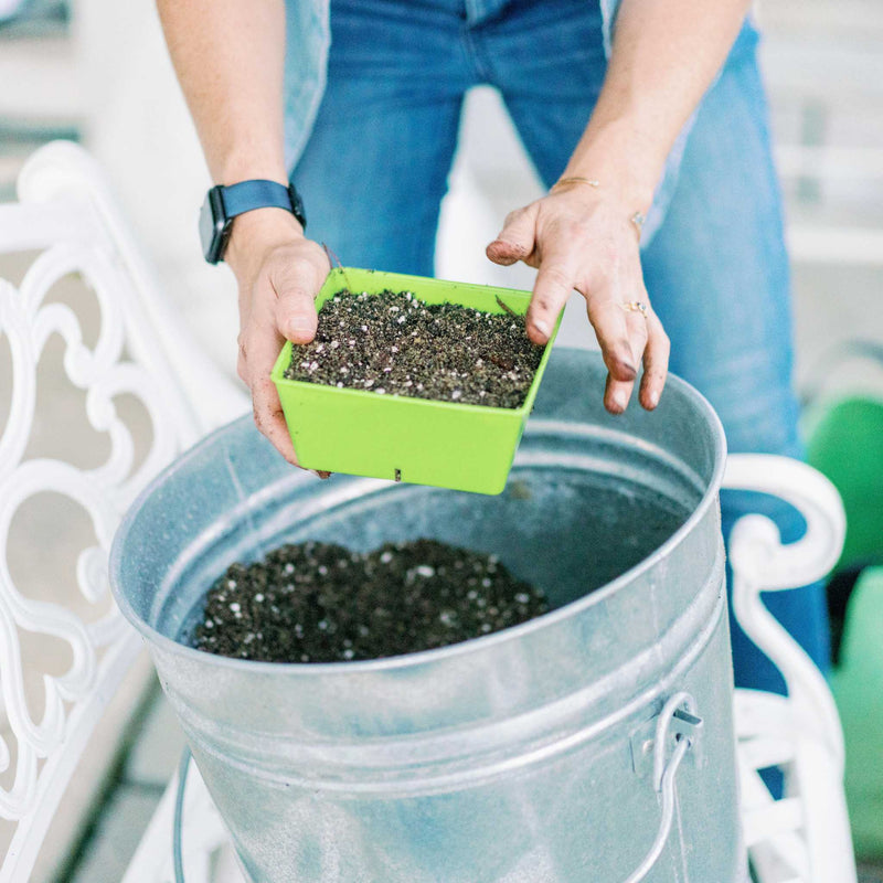 Load image into Gallery viewer, 5x5 Deep Grow Tray Inserts
