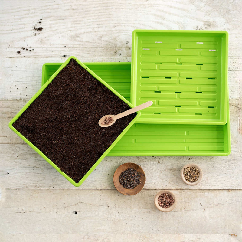 Load image into Gallery viewer, 1010 Microgreens Kit
