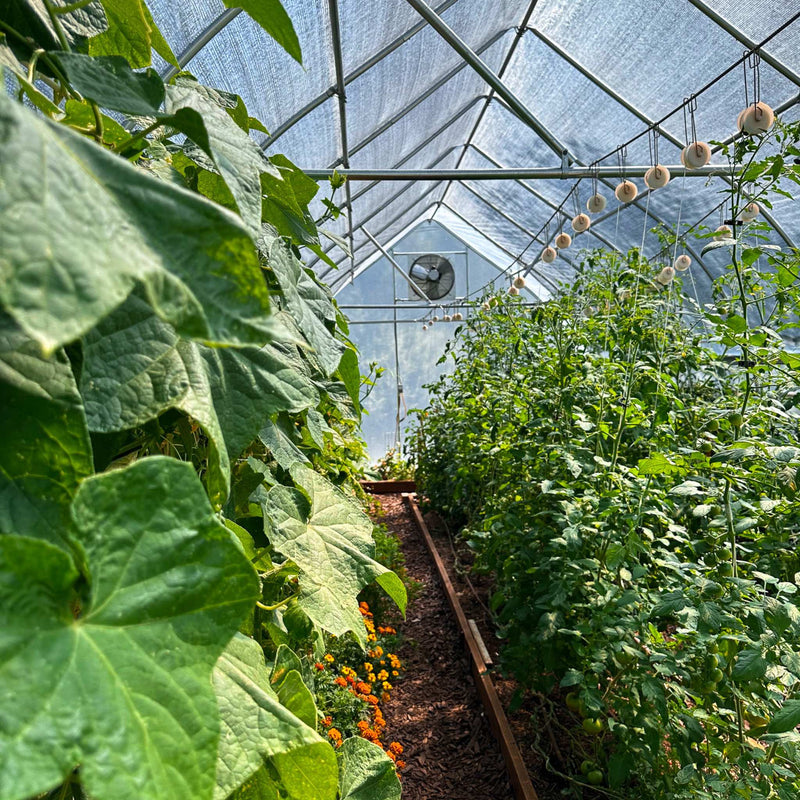 Load image into Gallery viewer, Greenhouse Shutter Mount Exhaust Fans
