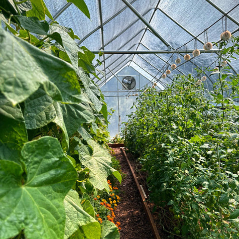 Greenhouse Shutter Mount Exhaust Fans, additional product view 2
