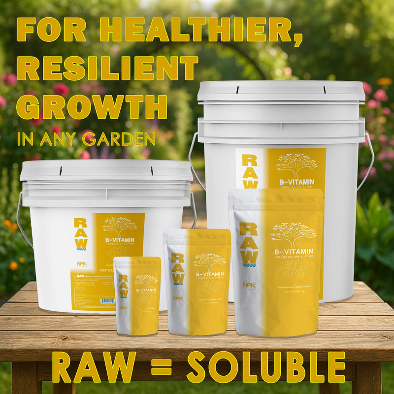 Load image into Gallery viewer, RAW B-Vitamin | 1% Vitamin B1 + 9% Magnesium | Water-Soluble Plant Supplement
