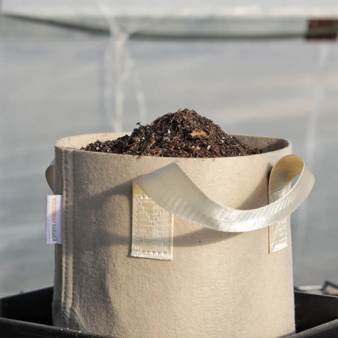 2 Gal Grow Bag - Tan from Bootstrap Farmer at GrowTime Garden Supply
