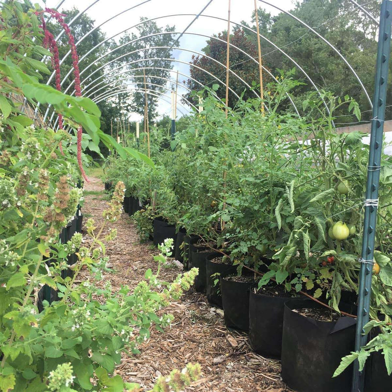 Load image into Gallery viewer, Grow Bags - 2 to 50 Gallon - Black
