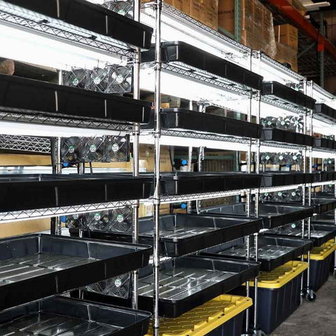 Grow Rack - Automated Vertical Propagation Rack, additional product view 2