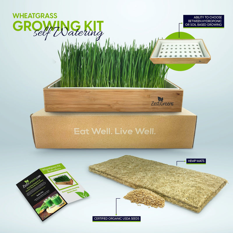 Load image into Gallery viewer, Organic Wheatgrass Growing Kit, Self Watering
