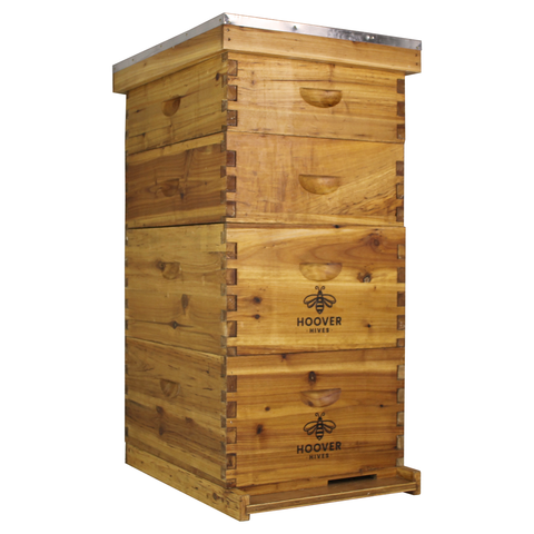 Wax-coated 10-frame beehive, 2 deeps and 2 mediums, front
