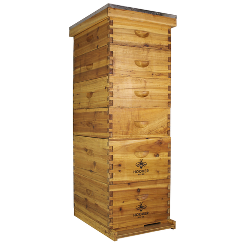 Wax-coated 10-frame beehive, 2 deeps and 4 mediums, front