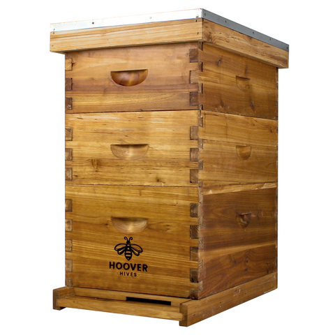 Wax-coated 8-frame beehive, 1 deep and 2 mediums, front