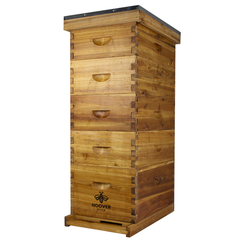 Wax-coated 8-frame beehive, 1 deep and 4 mediums, front