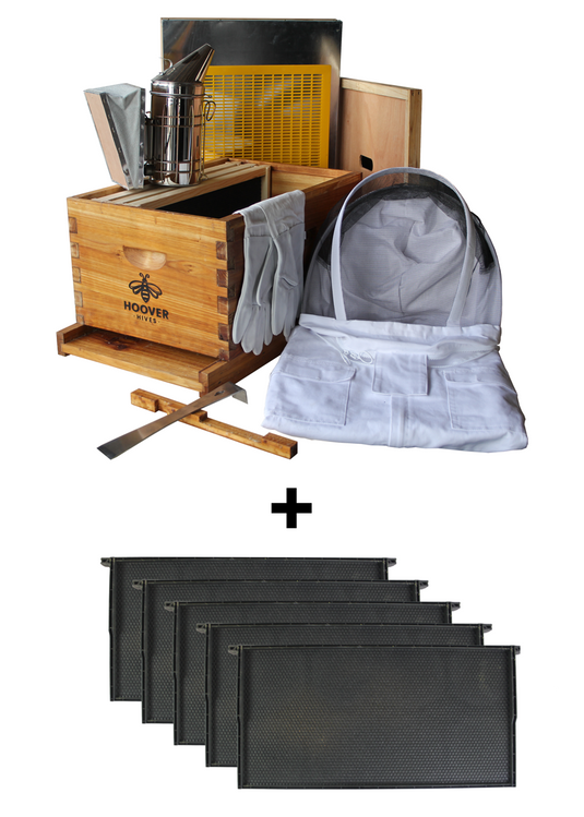 Wax-Coated 8 Frame Beehive - Starter Kit Starter Kit With 3 Frames