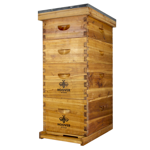 Wax-coated 8-frame beehive, 2 deeps and 2 mediums, front